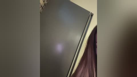 Media: Video of a closed, rectangular, black-framed window with a visible reflection, partially covered by a pink fabric hanging from the top. The room's walls are beige, with a faint, indistinct object hanging in the top left corner.