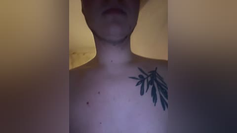 Video of a person's upper torso, showing a dark tattoo of a leafy plant on the right shoulder, with a shadowy background and dim lighting.