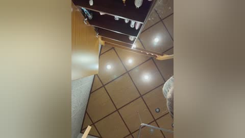 Video of a ceiling with a geometric pattern of brown and beige tiles, featuring recessed lights. A ladder and a partially visible person are visible in the background.