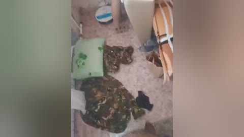 A blurry video showing a messy kitchen floor with scattered food debris, a green dishcloth, and a wooden spoon.