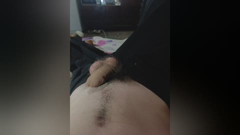Video of a close-up view of a man's pubic area, with a visible circumcised penis and pubic hair, lying on a dark blanket in a dimly lit room.