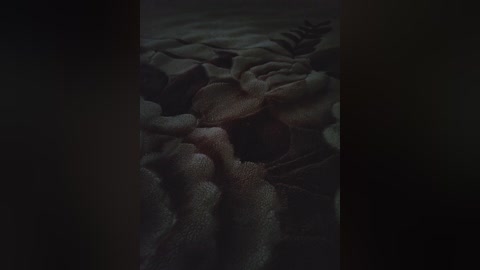 Video of a dimly lit, textured blanket with folds and wrinkles, creating a cozy, intimate atmosphere. The blanket's fabric is soft and plush, with subtle shades of gray and beige. The background is dark, emphasizing the blanket's tactile details.