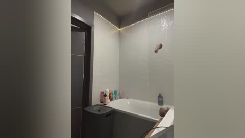 Media: Video of a modern, minimalist bathroom with a white bathtub, beige tiles, and a sleek, dark wooden door. Shampoo and soap bottles are on the tub's edge.