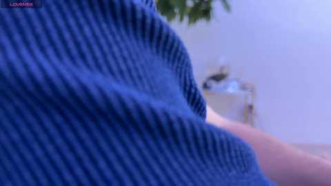Media: A close-up video of a person's upper torso, showing a blue, textured sweater. The background is a blurred, light-colored room with a green plant and a small, white table.