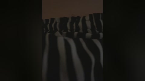 A video of a dark, patterned curtain with vertical black and white stripes, creating a textured, shadowy effect. The curtain is partially drawn, revealing a dimly lit, neutral-colored background. The image has a moody, somewhat blurred aesthetic.