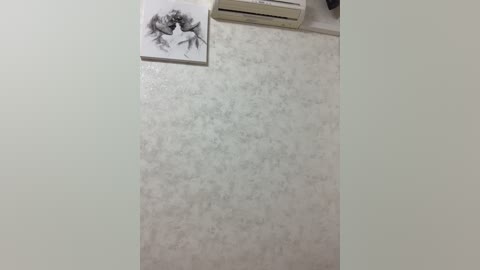 A video of a cream-colored, textured wall with a small framed black and white sketch of a woman's face and hair. An air conditioner and a partially visible painting hang above.