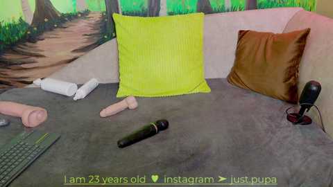 Media: Video of a gray sofa with a bright yellow pillow, brown cushion, and a black microphone. White dildo and pink dildo on the sofa, with a laptop visible on the left.