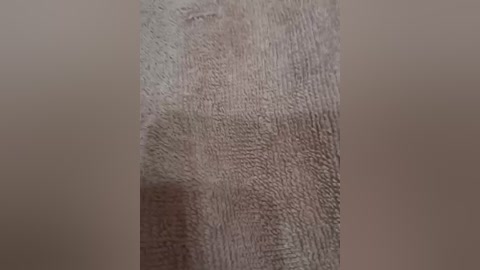 A close-up video of a textured, pale beige, possibly wood-grained surface with visible grain patterns and subtle variations in color, set against a neutral, blurred background. The image focuses on the surface's detailed texture.