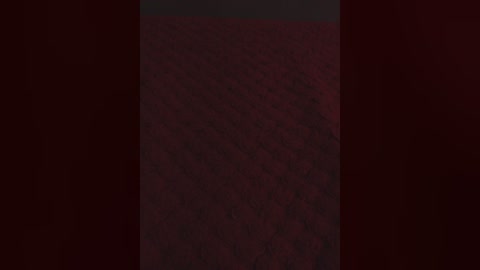 A video of a dark, textured surface with a vertical, slightly lighter strip in the center. The background is deep red, adding to the mysterious and slightly eerie atmosphere.