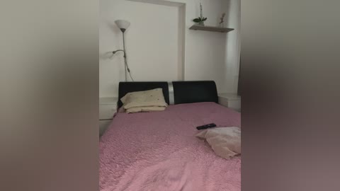 Video of a small, dimly lit room with a single bed covered in a pink blanket, two pillows, a white lamp, and a small plant on a shelf in the background.