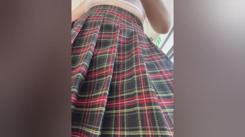 Media: Video of a young woman wearing a high-waisted, pleated plaid skirt with red, green, and black stripes. Her midriff is exposed, revealing a white tank top. The background is blurred, focusing attention on the skirt.