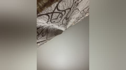 Media: A close-up video of a partially unfurled leaf with delicate, intricate veins and an ornate, handwritten text in black ink. The background is blurred, emphasizing the leaf's texture and the elegant, calligraphic script.