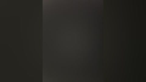 Media: A dark, grainy video of a vertical wall, possibly in a dimly lit room, with a faint, indistinct vertical line running down the center. The image has a minimalistic and somewhat mysterious quality.