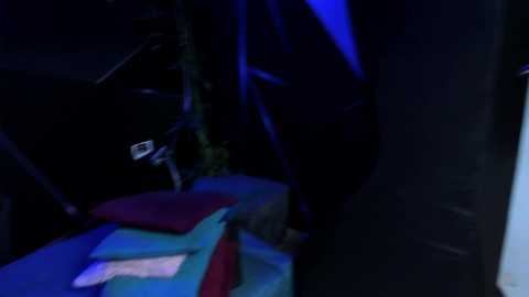 A dimly lit video captures a dark, cramped space with a blue and red blanket, a green plant, and a black object, possibly a car part, suggesting a repair or junkyard setting.
