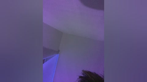 A video capturing an abstract, dimly lit interior space with a smooth, off-white wall and a hint of purple lighting, creating a surreal, otherworldly ambiance.