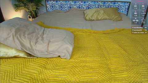 Video of a cozy bedroom with a yellow quilted bedspread, blue and white patterned headboard, pillows, and a potted plant.