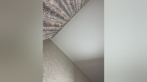 Media: Video of a narrow hallway with beige walls, white ceiling, and a textured silver and black floral wallpaper pattern on the left wall. The ceiling is slightly curved, creating an arched effect.