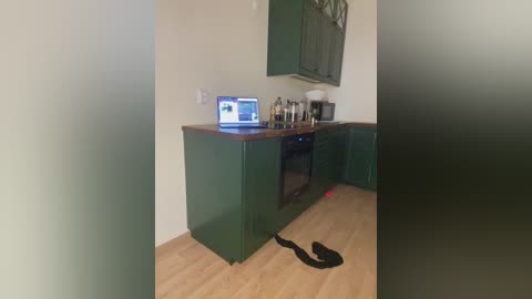 Media: Video of a small, modern kitchen with green cabinets, a laptop on the counter, a microwave, and a black cat lying on the light wooden floor.