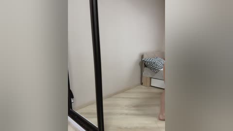 Media: A video captures a narrow, beige-walled hallway with a large mirror on the left, reflecting part of a person standing in a room with a gray bed and patterned blanket.