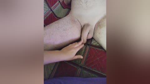A video shows a close-up of a nude man with a hairy torso and light skin, his penis partially visible, being touched by a hand. The background features a red and green patterned fabric.