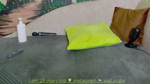 Media: A video shows a minimalist room with a bright green pillow, a black vibrator, a white bottle, and a brown cushion on a gray concrete floor, with a mural in the background.