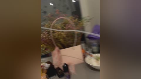 Media: A blurry video captures a pink cow-shaped bag on a grey countertop, surrounded by various food items, including a bottle of hand sanitizer and a white bowl. A potted plant with purple flowers is visible in the background.