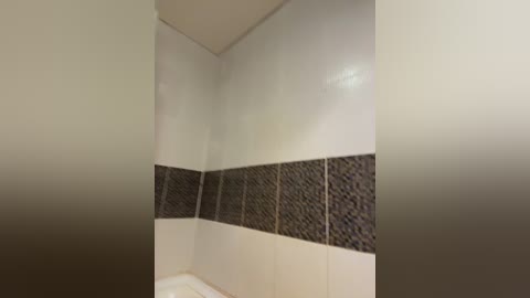 Video of a corner bathroom featuring a beige tile wall with a black and white mosaic strip halfway up. The bathroom has a plain white bathtub.