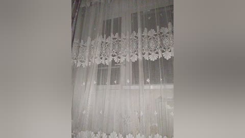 Media: A video of sheer, white lace curtains with delicate floral patterns and a window behind them, casting a soft, diffused light. The overall tone is muted, giving a vintage, nostalgic feel.