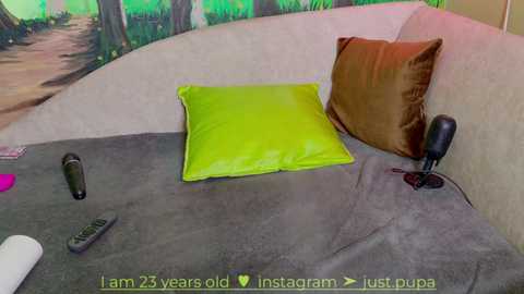 Media: Video of a cozy bed with a bright green pillow, a dark brown cushion, and a remote control on a gray blanket. Background shows a green forest mural. Text: \"25 years old Instagram just, pupa.\