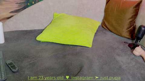 Media: Video of a gray couch with a bright neon yellow pillow on the floor. A brown pillow and a hand holding a black smartphone are visible.