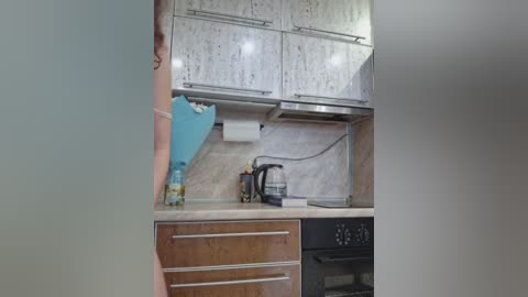 Media: A video of a modern kitchen with light gray cabinets, beige backsplash, a blue paper towel holder, a wooden countertop, a black electric stove, and a white kettle.