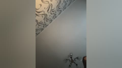 A video showing a ceiling corner with a white wall and a decorative, grey damask-patterned wallpaper border. A small, ornate chandelier with multiple crystal pendants hangs in the lower right corner.