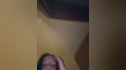 Media: Video of a person with dark hair, partially obscured by a shadowy corner, standing in a dimly lit room with yellow walls.