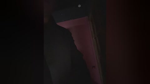 Media: Video of a dark, dimly lit room with a partially visible, cracked, red-painted wall and a small, black, circular object on the wall. The image has a gritty, slightly out-of-focus texture.