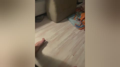 Video of a wooden floor with a pale wooden texture, showing a hand reaching out. The background features a beige sofa and a colorful, patterned blanket. The image has a soft, warm lighting.