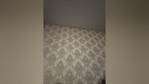 A video of a beige wall with a subtle, repeating damask pattern in light gray. The room is sparsely furnished with minimalistic decor, creating a calm and neutral ambiance.