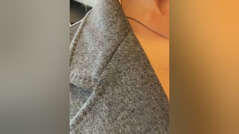 Media: Video of a close-up of a person's neck and shoulder in a gray wool sweater, with a delicate silver necklace, against a blurred background.