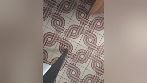 Media: Video of a ceiling tile with a geometric pattern in brown and white, featuring interlocking circles and squares. The image is taken from a low angle, capturing the edge of the tile and a black handle of a tool.