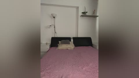 A video of a minimalist bedroom with a black headboard, white walls, a pink quilted bedspread, beige pillows, a small white shelf with a plant, and a modern wall lamp.