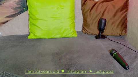 Media: Video of a grey carpet with a neon green pillow, brown blanket, and a black microphone on the floor. Text at the bottom reads: \"iam 26 years old instagram just pupa\" in green.