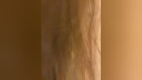 Media: A video of a beige curtain with a soft, slightly textured fabric, showing a vertical, symmetrical pattern. The background is a solid, warm brown.