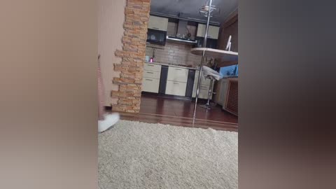 Video of a modern kitchen with light wood cabinets, black accents, and a brick wall. A beige carpet covers the floor, and a person wearing a white shirt is partially visible in the foreground.