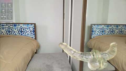 Video of a simple, modern bedroom with beige carpet, two single beds with blue and white patterned headboards, and a clear, realistic dildo mounted on the wall between them.