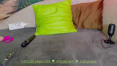 Media: Video of a gray carpeted room with a bright green pillow, a black microphone, and a pair of pink scissors. The background features a beige wall and a brown cushion. Text reads, \"iam 25 years old insta:just_puppy.\