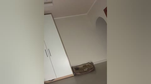 Video of a modern, minimalist room with off-white walls and a white closet with black handles. A brown carpet lies on the floor, partially visible, and a shadowy archway hints at an adjacent space. The scene is dimly lit.