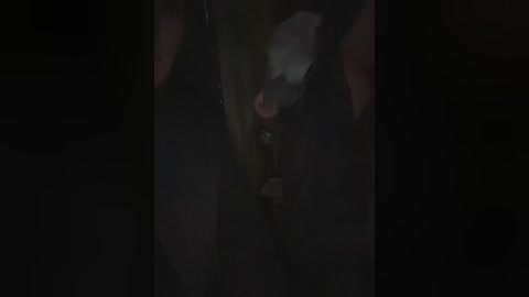 Media: A dimly lit, grainy video of a person's hand holding a knife, with a white, furry object, possibly a dog, partially visible. The background is dark and blurry.