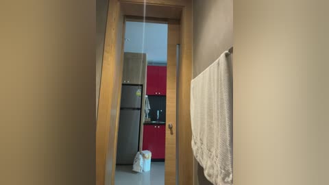 Media: Video of a narrow, beige hallway leading to a modern kitchen with red cabinets, stainless steel appliances, and a beige towel hanging on the wall.