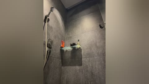 Media: Video of a minimalist, modern shower with gray textured tiles, a chrome rain showerhead, and a shelf holding a green towel, soap, and shampoo bottles. The shower is clean and utilitarian.