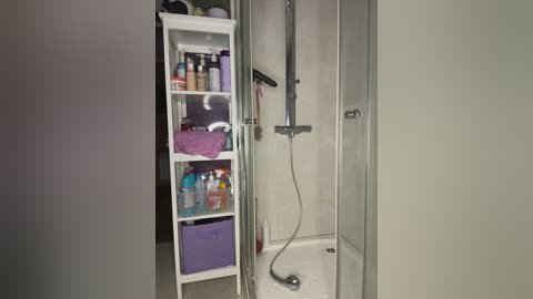 Media: A video of a modern, well-organized bathroom featuring a white shower stall with a silver showerhead, a purple storage basket, and assorted toiletries on a white shelf.