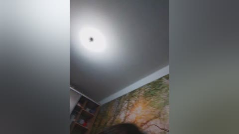 Video of a child's room with a bright light bulb in the ceiling, a colorful forest mural on the wall, and a wooden bookshelf filled with books.